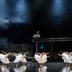 Λίμνη των Κύκνων από τον Κ. Ρήγο