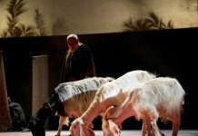 Exclusively obscure Rossini by ROF 2023 – An erudite but debatable option