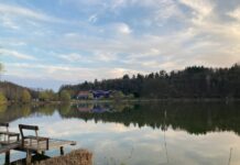 Mettrin – A Hungarian cultural institution devoted to openness, diversity and sustainability in performing arts